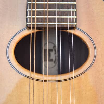 Early Model Trinity College TM-450 Celtic Mandolin image 4