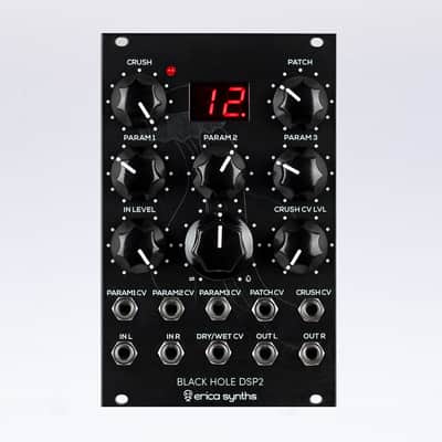 Erica Synths Black Hole DSP2 image 1
