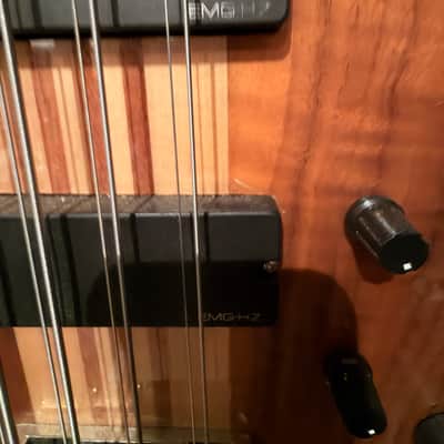 "The Claw" (No Name) Beautiful 8 string bass 2020 image 5