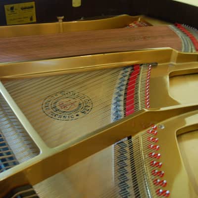 Nordiska 5’4 Grand Piano image 5