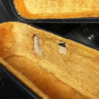 Vintage 1970's Gold Interior Acoustic Case image 2