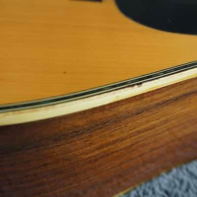 Pro Martin W-250 Vintage MIJ Dreadnought Acoustic Guitar w/ Gig Bag image 11