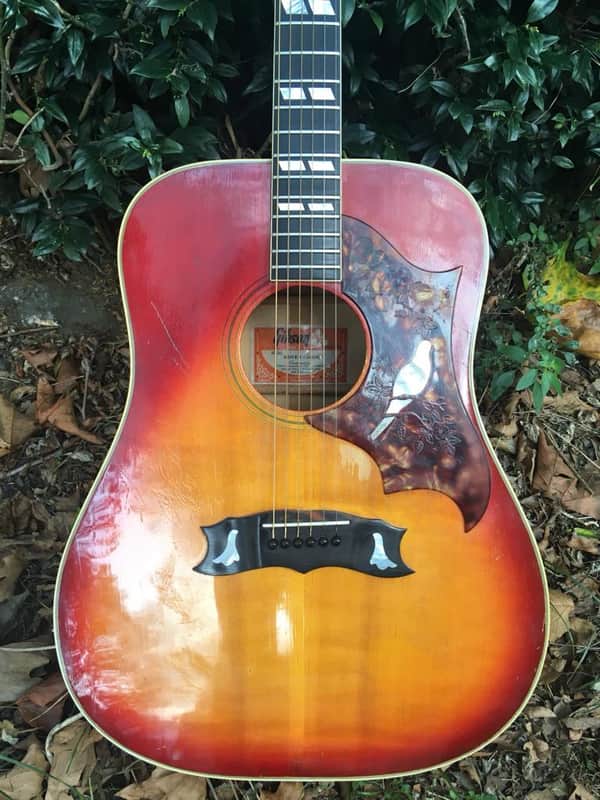 Gibson Dove 1970s - Cherry Sunburst