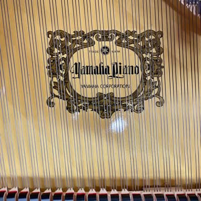 Yamaha PIANOFORTE A MEZZA CODA C3 LIMITED EDITION image 8
