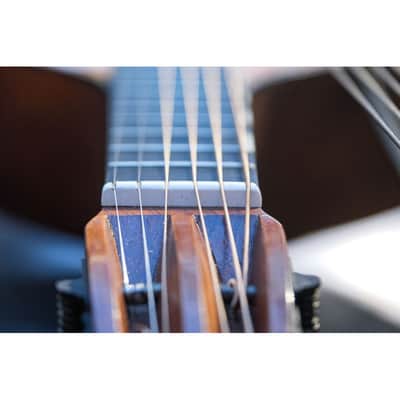 1946 Levin Model 102 12-string Bass Lute natural image 17