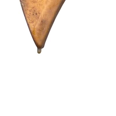 DIY Mahogany BICH Style Guitar Body image 2
