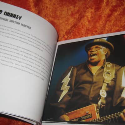 Guitar Gods Book 352 Pages Compact Size image 5