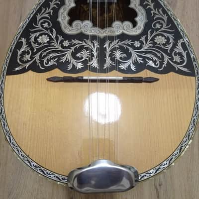 Greek Bouzouki & hardcase & pickup & 300 backing track with pdf scores 8 string image 2