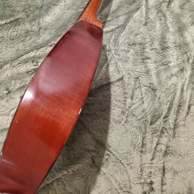 1920's Weymann Mandolute image 18