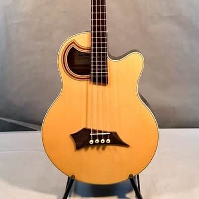 Warwick Rock Bass Alien Standard 4-String Acoustic Bass image 2