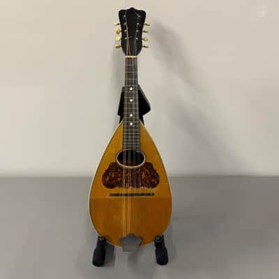 Washburn Bowl-Back Mandolin with Original Case, 1890s image 2