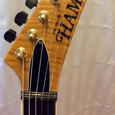Hamer USA Custom Model 1990 image 2