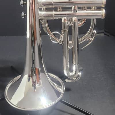 Getzen Eterna PRO Eterna 800S Silver L B Cornet, M/P 's and hardcase  Case  Silver Plate image 12