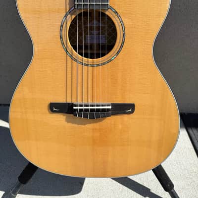 Cort Gold OC8 Nylon/Electric 2010 - natural gloss image 2