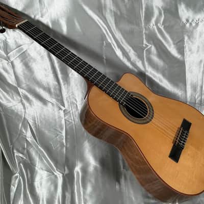 1998 Buscarino Cabaret Acoustic Electric Classical Nylon Flat Top Guitar w/ Original Hard Shell Case image 5