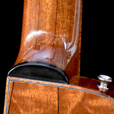 The Tree Quilted Mahogany Four Elements Electric image 17
