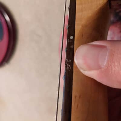 Washburn Lyon Custom Paint Job image 6
