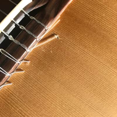Borys B-520 1987 Natural Jazz Nylon Guitar image 4