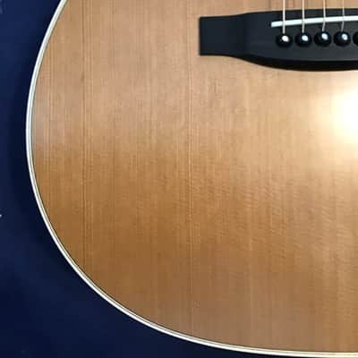 Lakewood Natural Series M-14 CP image 4