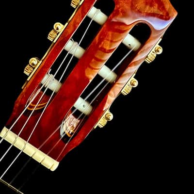 Lazarides Flamenca Negra Concert Guitar-Spruce/Indian Rosewood image 4