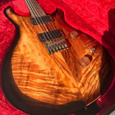 PRS Mark Holcomb Signature Private Stock image 3