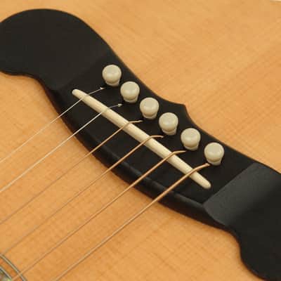 Planet Waves Pwps9 image 2