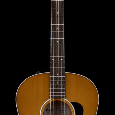 Taylor 217e Plus Special Edition - Honeyburst #65341 (NAMM 2026) image 5