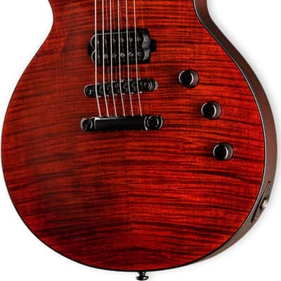 ESP LTD EC-1001 Electric Guitar, Ebony Fingerboard, Tiger Eye image 2