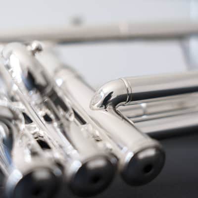 Yamaha YTR-8335IIS Xeno Bb Trumpet (SN 5481xx) image 25
