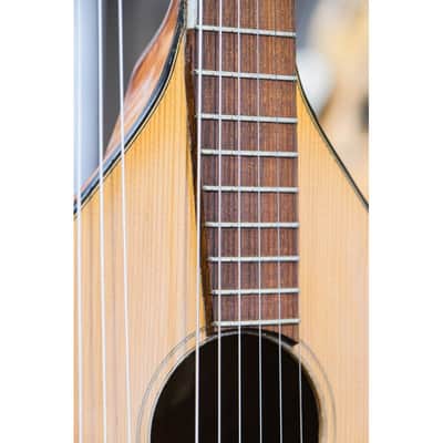 1943 Levin Model 102 12-string Bass Lute natural image 10