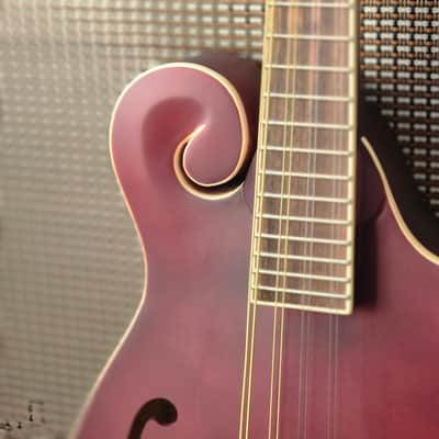 Epiphone F-5 Studio Mandolin 2025 - Wine Red Satin image 4