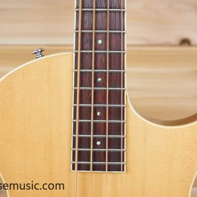 ESP LTD TL-4 Hollowbody - Natural Gloss image 3