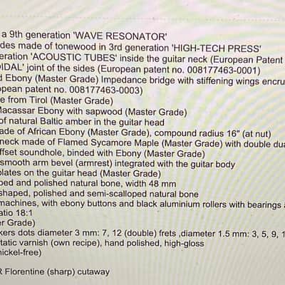 Turkowiak guitars image 17