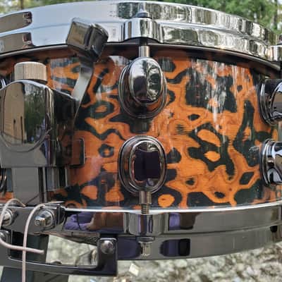 Mapex Orion 2008 - Chocolate Burl image 9