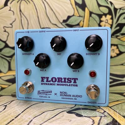 Benson Amps + Non-Human Audio Florist image 1
