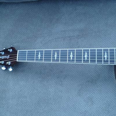 Breedlove Stage Concert image 10