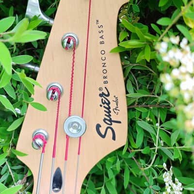 Squier Badtz-Maru Bronco Bass 2006 - 2009 - Black image 1