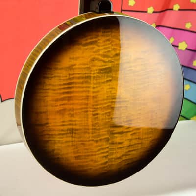Epiphone Earl Scruggs Golden Deluxe Banjo (Incl. Hard Case) image 13