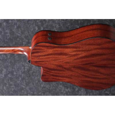 Ibanez AAD170CE-LGS image 3
