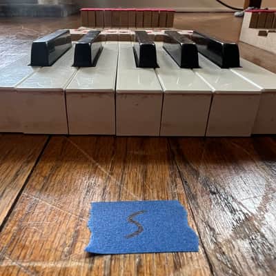 Fender Rhodes REPLACEMENT KEYS, 1 octave (1974) (listing 5 of 7) image 3