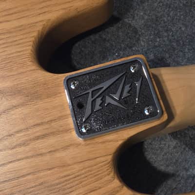 Peavey T-40 with Maple Fretboard 1981 - Natural image 8