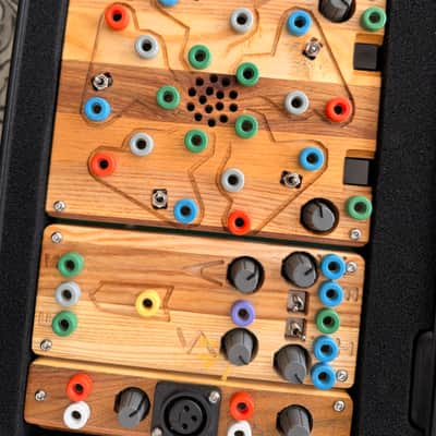 Ciat-Lonbarde Cocoquantus 2 - Wood with Case and Banana Cables image 9