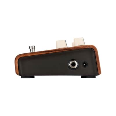 L.R. Baggs Align Series Reverb Acoustic Guitar Pedal | Reverb & Decay image 3