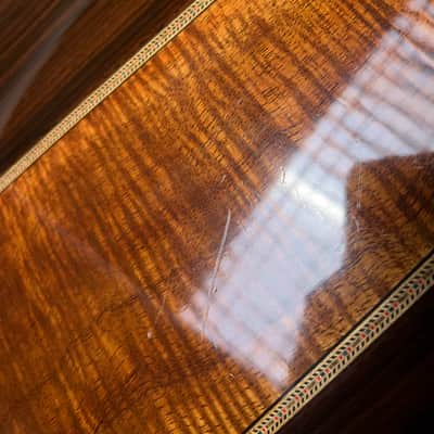Martin Trey Anastasio Signature Edition DC Fishman Ellipse image 13