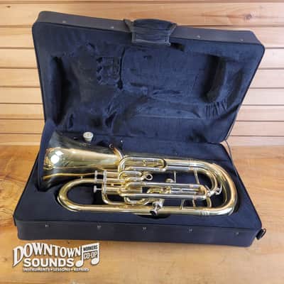 D. C. Pro Series II Bb Euphonium with Foam Hard Case, Mouthpiece, Bell Cover image 2