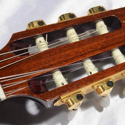 Gibson Chet Atkins CE Wine Red image 3