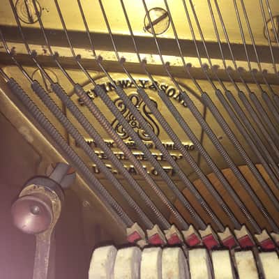1910 Steinway Vertegrand: Mahogany OBO image 1