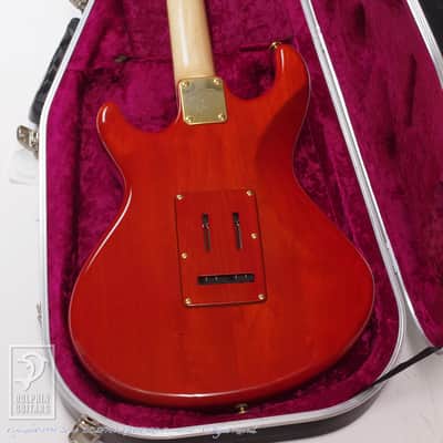 Ruokangas Guitars VSOP DX Birth Custom [Pre-Owned] image 10