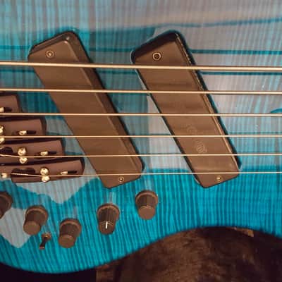 Dingwall Zebra-1 6 String Electric Bass Sheldon Dingwall 2002 - Whalepool Blue image 9