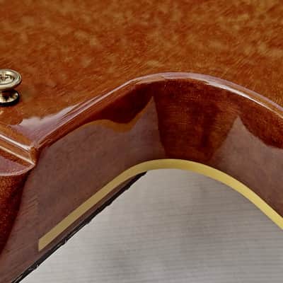 Gibson Chet Atkins SST 1993 image 17